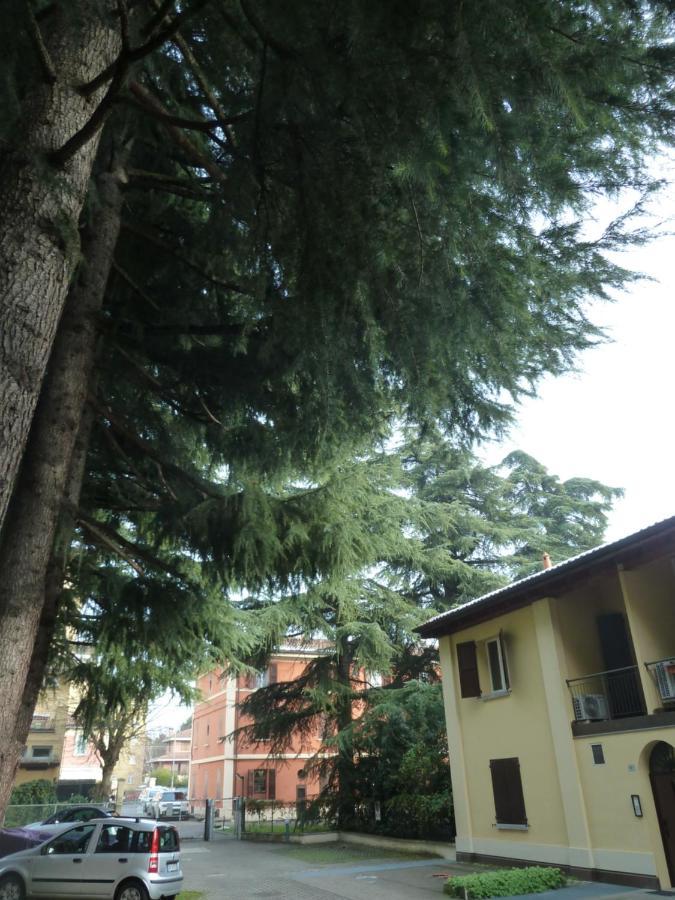 Il Giardinetto - Smart Working - Airport - Private Parking - Private Garden - Ducati - Philip Morris Apartment Bologna Luaran gambar
